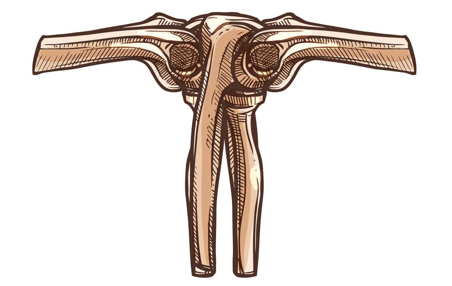 Texas Extremity
